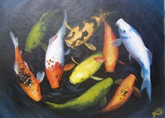 Multi-colored koi swimming in a circle, viewed from above.