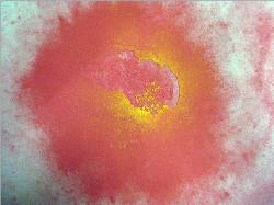 Red hurricane-shaped swirl with yellow eye and white background.
