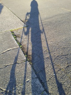 A blue-black shadow of a woman standing with her walker is cast on gray pavement. The shadow is long in the evening light, extending at a slight angle from the bottom of the frame to the top. Although the woman is stationary, the long diagonal lines evoke a feeling of movement.